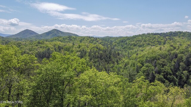 1820 Oakwood Rd, Walland, TN 37886