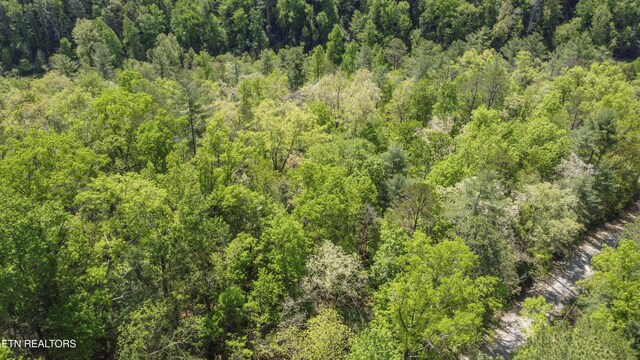 1820 Oakwood Rd, Walland, TN 37886