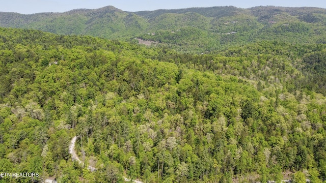 1820 Oakwood Rd, Walland, TN 37886