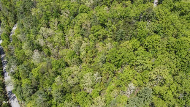 1820 Oakwood Rd, Walland, TN 37886