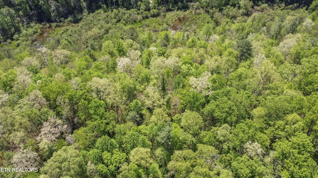 1820 Oakwood Rd, Walland, TN 37886