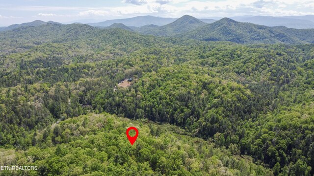 1820 Oakwood Rd, Walland, TN 37886