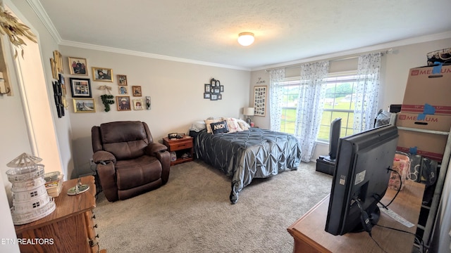 210 Schertz Ln, Rutledge, TN 37861 - carpeted bedroom featuring crown molding