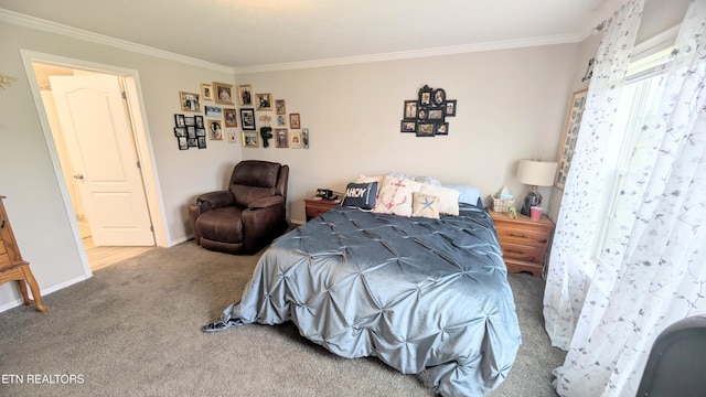 210 Schertz Ln, Rutledge, TN 37861 - carpeted bedroom with crown molding and baseboards