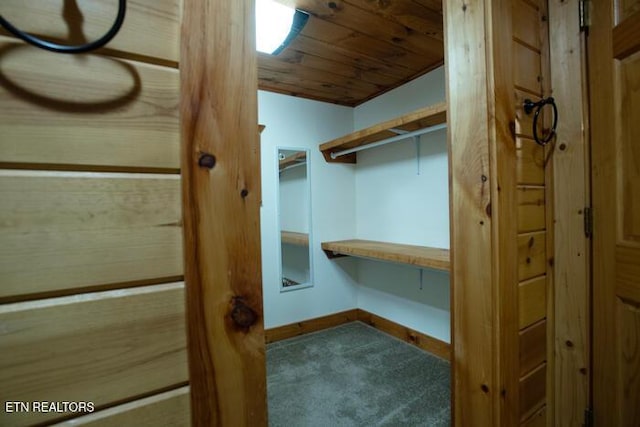 308 Black Mash Hollow Rd, Townsend, TN 37882 - walk in closet with carpet flooring