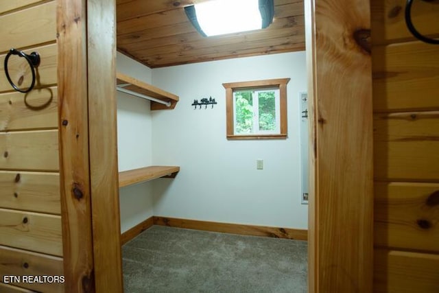 308 Black Mash Hollow Rd, Townsend, TN 37882 - spacious closet with carpet floors
