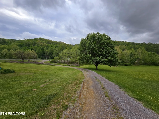 view of street with a rural view and a wooded view