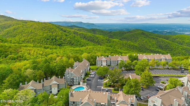 1260 Ski View Dr Unit 3105, Gatlinburg, TN 37738 - photo 19