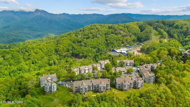 1260 Ski View Dr Unit 3105, Gatlinburg, TN 37738 - photo 2