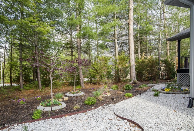 194 Forest View Dr, Crossville, TN 38558 - view of yard with a patio area