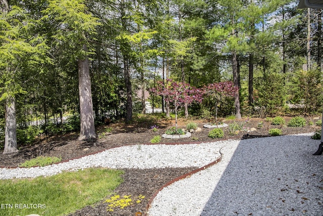 194 Forest View Dr, Crossville, TN 38558 - view of yard featuring a patio