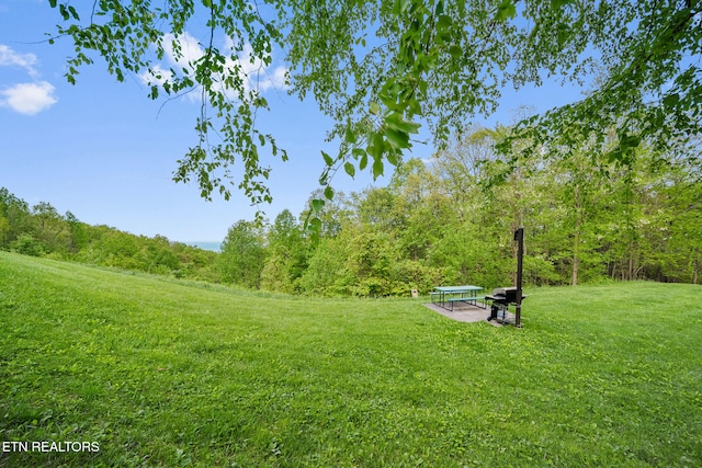 view of grassy yard with a view of trees