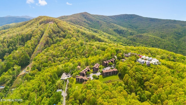 aerial view of a forest and a mountain backdrop