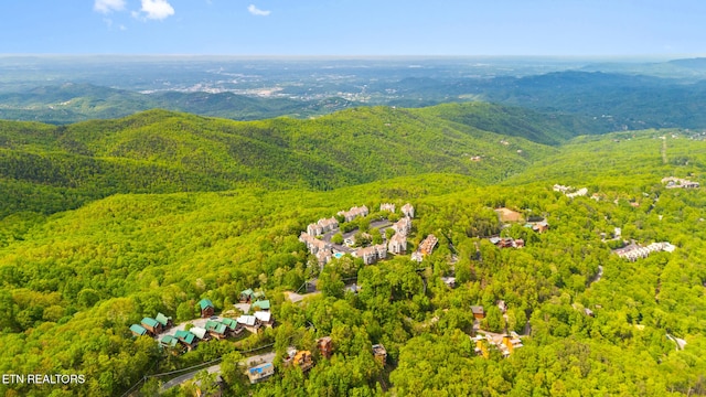 drone / aerial view of a forest and mountains