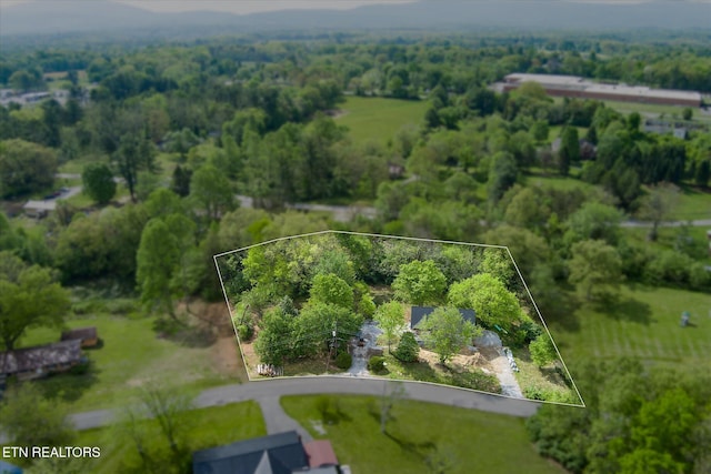 birds eye view of property featuring a forest view