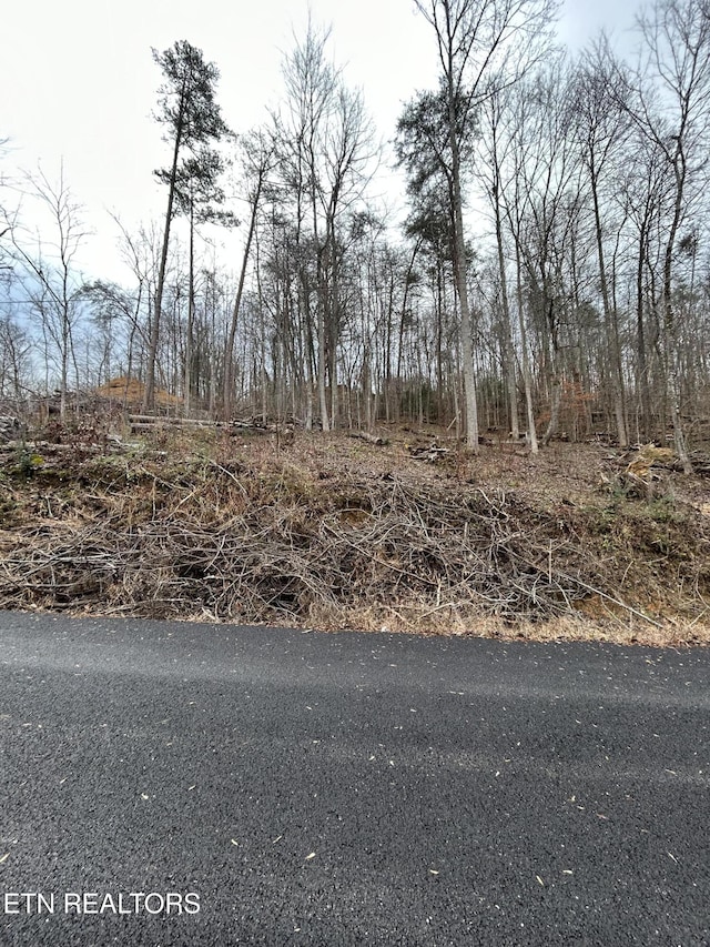 329 Island Cove Rd, Rocky Top, TN 37769