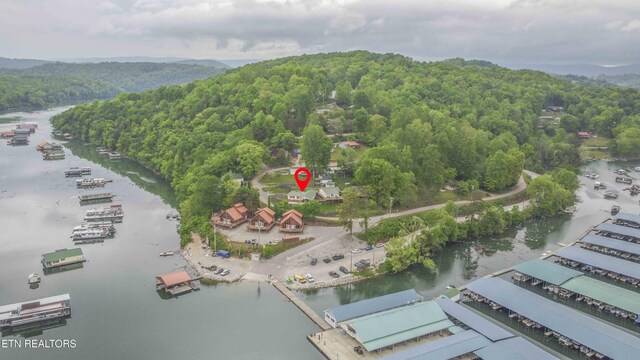 birds eye view of property featuring a water view and a view of trees