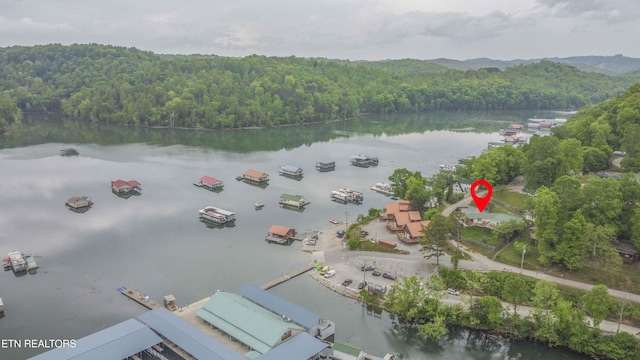 aerial view featuring a water view and a view of trees