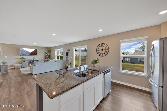 kitchen featuring a sink, wood finished floors, a wealth of natural light, and stainless steel appliances