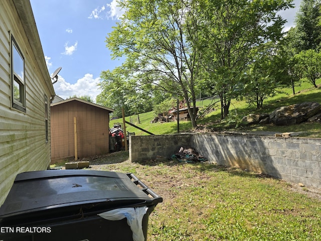 view of yard with a storage shed and an outdoor structure