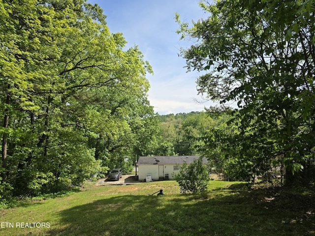 view of yard with a forest view