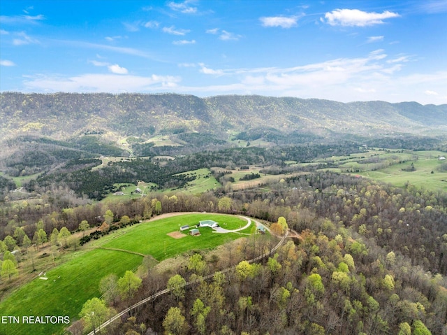 bird's eye view featuring a mountain view