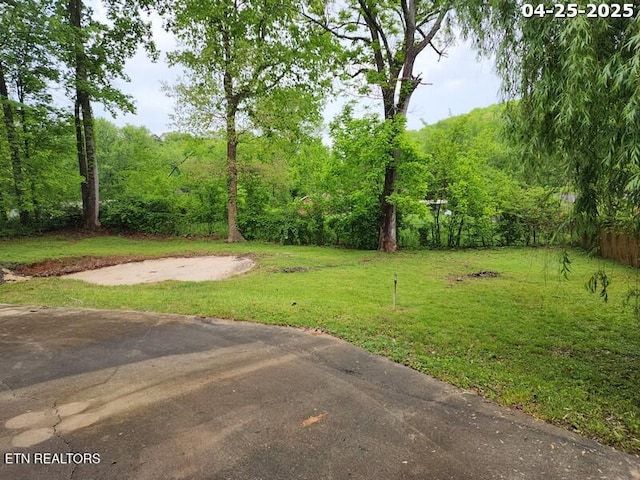 view of yard with a wooded view