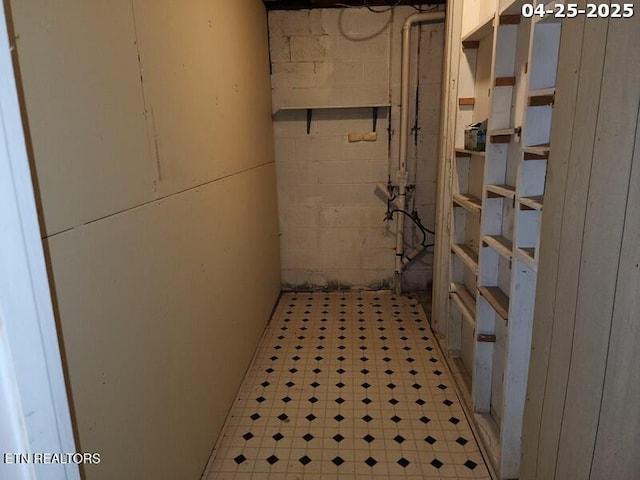 unfinished below grade area featuring concrete block wall and light floors