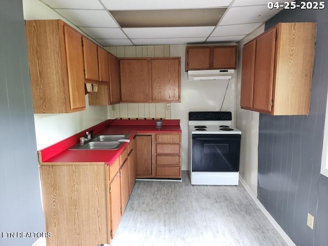 kitchen featuring electric range, a sink, light wood finished floors, a paneled ceiling, and under cabinet range hood