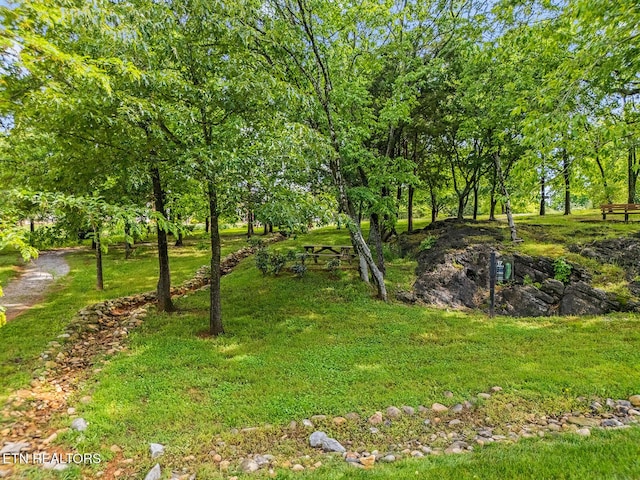 112 Naduli Trl, Vonore, TN 37885 - view of yard