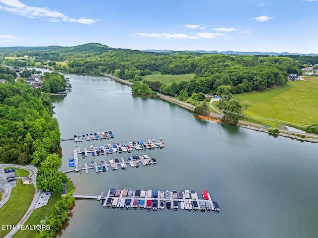 112 Naduli Trl, Vonore, TN 37885 - drone / aerial view featuring a water and mountain view and a wooded view