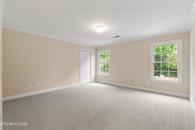 7605 Harrisburg Ct, Knoxville, TN 37909 - photo 39