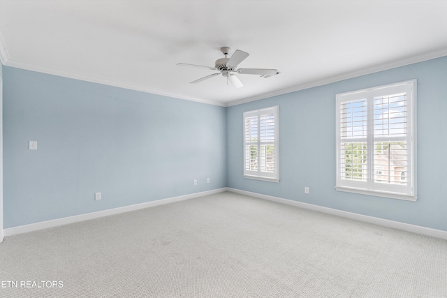 7605 Harrisburg Ct, Knoxville, TN 37909 - photo 40