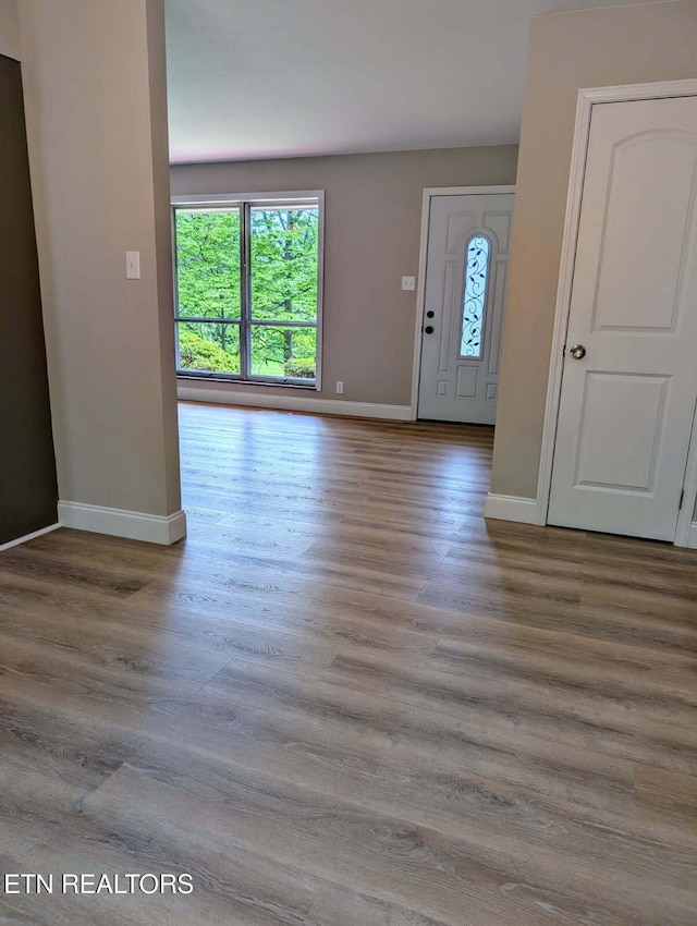 foyer with baseboards and wood finished floors
