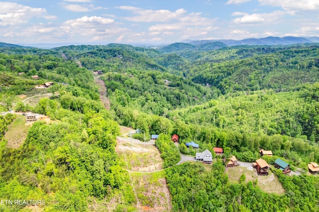 aerial view with a mountain view and a forest view