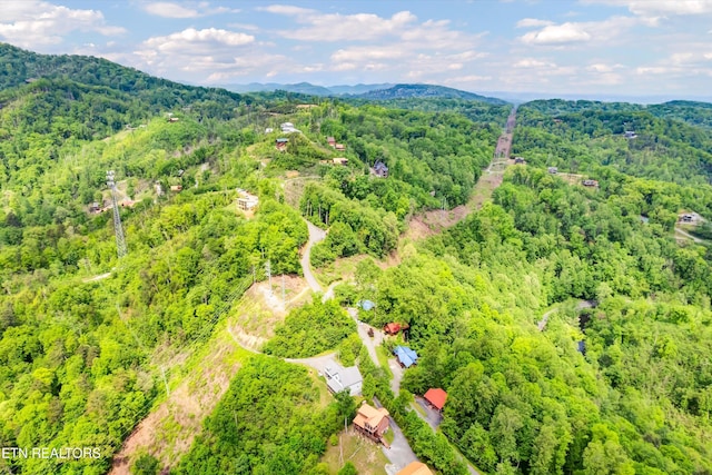 birds eye view of property featuring a mountain view and a forest view