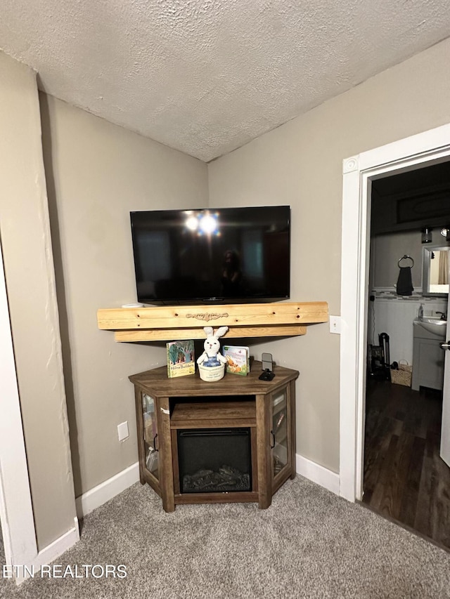 room details featuring carpet flooring, a textured ceiling, and baseboards