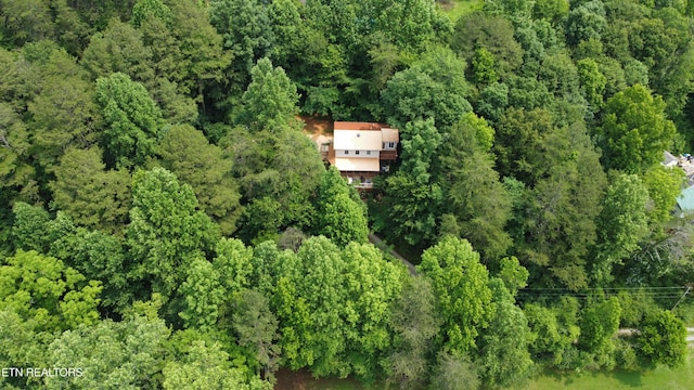 4017 Hatcher Hollow Rd, Walland, TN 37886 - view of subject property featuring a forest