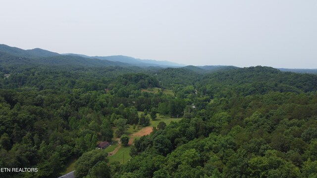 4017 Hatcher Hollow Rd, Walland, TN 37886 - mountain view featuring a heavily wooded area