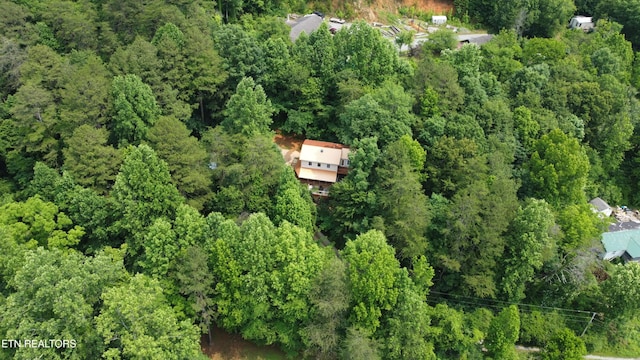 4017 Hatcher Hollow Rd, Walland, TN 37886 - drone / aerial view of a forest