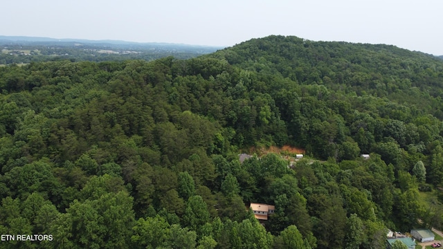 4017 Hatcher Hollow Rd, Walland, TN 37886 - bird's eye view of a heavily wooded area