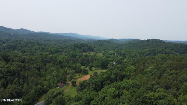 4017 Hatcher Hollow Rd, Walland, TN 37886 - mountain view featuring a heavily wooded area
