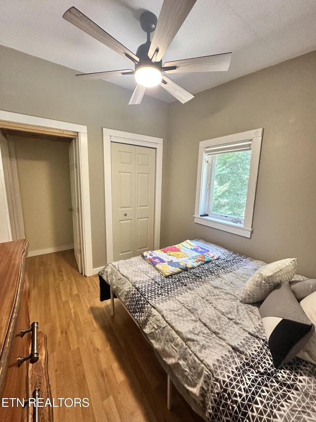 4017 Hatcher Hollow Rd, Walland, TN 37886 - photo 45