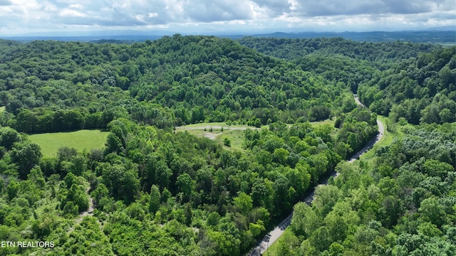 0 Acorn Gap Rd, Sweetwater, TN 37874 - photo 4