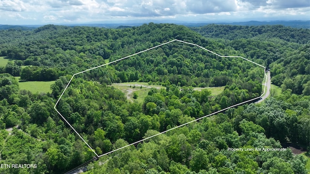 0 Acorn Gap Rd, Sweetwater, TN 37874 - photo 1