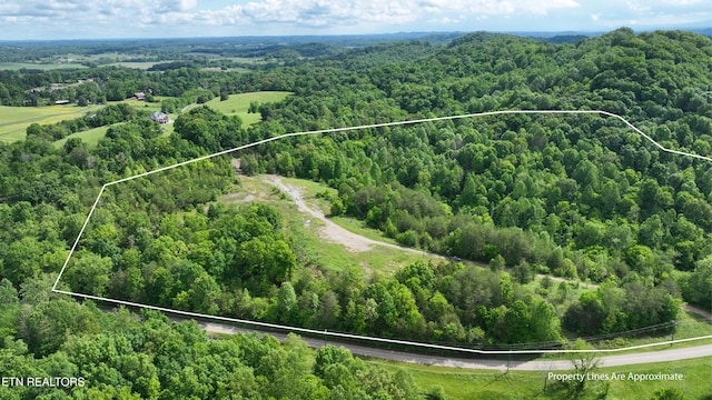 0 Acorn Gap Rd, Sweetwater, TN 37874 - photo 2