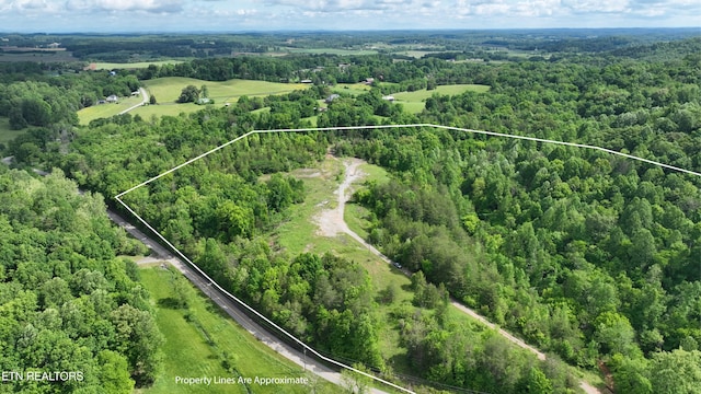 0 Acorn Gap Rd, Sweetwater, TN 37874 - photo 3