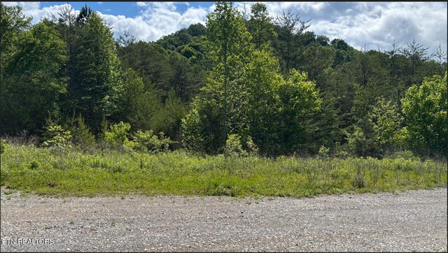 0 Acorn Gap Rd, Sweetwater, TN 37874 - photo 8