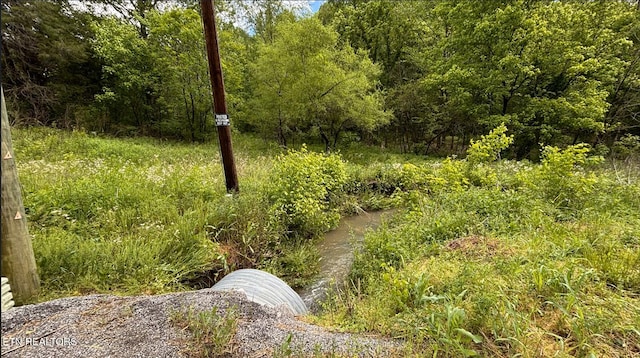 0 Acorn Gap Rd, Sweetwater, TN 37874 - photo 10