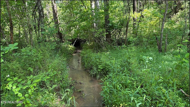 0 Acorn Gap Rd, Sweetwater, TN 37874 - photo 9